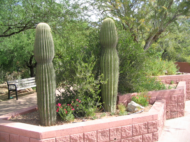 618x457 pixels (289K)